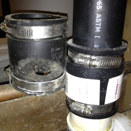 House Mouse Damage
